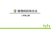 小学语文人教部编版二年级上册课文13 植物妈妈有办法教学课件ppt