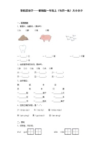 小学语文人教部编版一年级上册7 大小多少习题