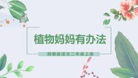 小学语文人教部编版二年级上册3 植物妈妈有办法图文ppt课件