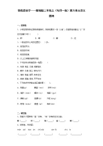 暑假提前学——部编版三年级上（每日一练）第六单元语文园地