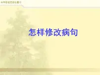小升初语文综合复习之修改病句PPT课件