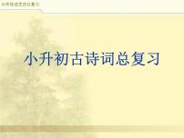 小升初语文冲刺班古诗词复习PPT课件