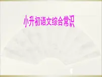 小升初语文复习综合知识PPT课件