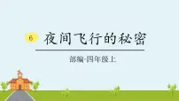 小学语文人教部编版四年级上册第二单元6 蝙蝠和雷达课文课件ppt