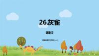 小学语文人教部编版三年级上册26 《灰雀》示范课课件ppt