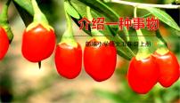 小学语文人教部编版五年级上册习作：介绍一种事物课文课件ppt