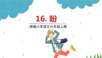 小学语文人教部编版六年级上册16 盼图片ppt课件