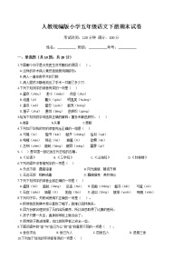 人教统编版小学五年级语文下册期末试卷