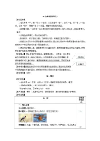 人教部编版三年级上册第八单元26 灰雀教学设计