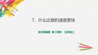 小学语文人教部编版五年级上册7 什么比猎豹的速度更快课文配套课件ppt