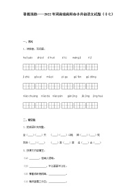 暑假预热——2022年河南省南阳市小升初语文试题（十七）