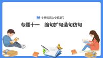 【必考考点】2021年小升初语文总复习专题十一缩句扩句造句仿句课件（共54张PPT）