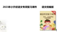2021年小升初语文专项复习综合性学习课件(41张PPT)