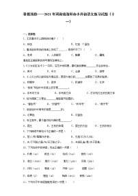 暑假预热——2021年河南省洛阳市小升初语文练习试题（十一）