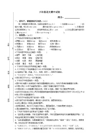 部编版六年级语文上册期中试卷（江苏盐城亭湖区2020年秋真卷，含答案）