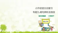 人教统编版小升初语文总复习专题九·修改病句课件