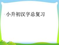 【小升初】语文总复习课件 - 汉字总复习  全国通用
