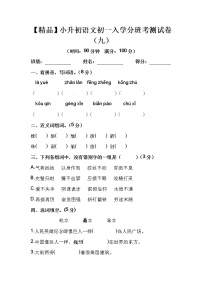 【优质】人教部编版 小升初语文初一入学分班考测试卷（九）（含答案）