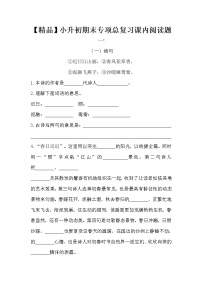 【优质】人教部编版 小升初语文期末专项总复习课内阅读题一（5篇）（含答案）