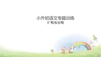 【小升初】语文总复习课件 - 小升初总复习-第六章 扩句与缩句专题训练|全国通用 (共25张PPT)