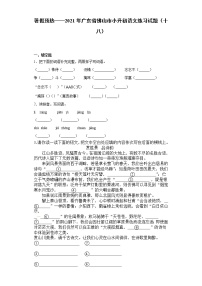 暑假预热——2021年广东省佛山市小升初语文练习试题（十八）