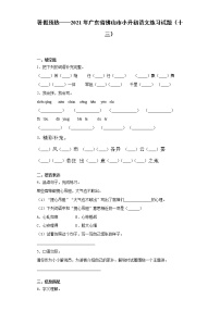 暑假预热——2021年广东省佛山市小升初语文练习试题（十三）