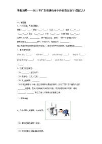 暑假预热——2021年广东省佛山市小升初语文练习试题（九）
