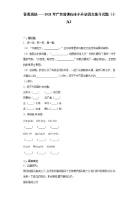 暑假预热——2021年广东省佛山市小升初语文练习试题（十九）