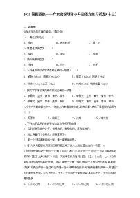 2021暑假预热——广东省深圳市小升初语文练习试题（十三）