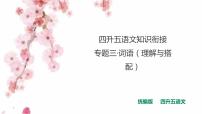 四升五专题三·词语（理解和搭配) 课件 人教统编版