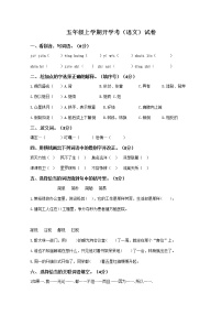 五年级上学期开学考（语文）试卷（五）