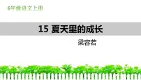 小学语文人教部编版六年级上册15 夏天里的成长课文ppt课件