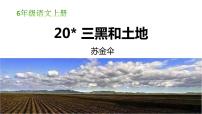 人教部编版六年级上册第六单元19* 三黑和土地课堂教学ppt课件