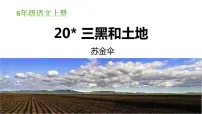 人教部编版六年级上册第六单元19* 三黑和土地课堂教学ppt课件