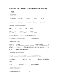 人教部编版六年级上册11* 故宫博物院同步练习题