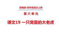 小学人教部编版第六单元19 一只窝囊的大老虎优秀课文课件ppt