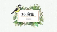 小学语文人教部编版四年级上册16 麻雀评课ppt课件