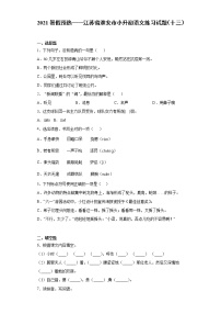 2021暑假预热——江苏省淮安市小升初语文练习试题（十三）