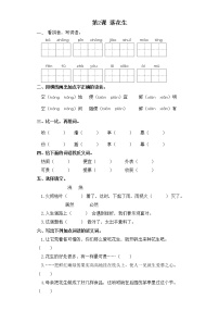 小学语文人教部编版五年级上册2 落花生精品同步练习题