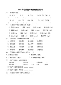 2021年河南省三门峡市小升初开学考前语文练习（二）（含答案）