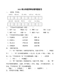 2021年河南省三门峡市小升初开学考前语文练习（一）（含答案）