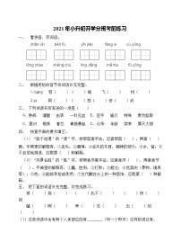 2021年小升初开学考前语文练习（四）（含答案）