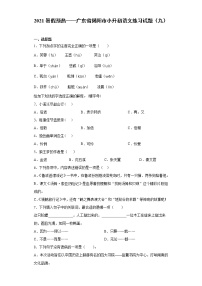 2021暑假预热——广东省揭阳市小升初语文练习试题（九）