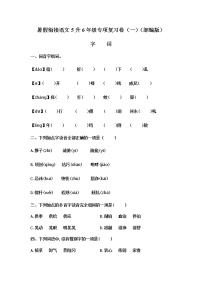 【暑假衔接】五升六语文专项复习卷（一）：字词（部编版，含答案）