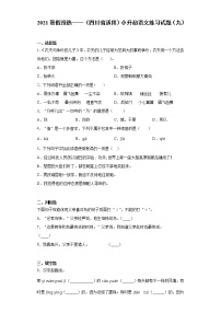 2021暑假预热——（四川省适用）小升初语文练习试题（九）