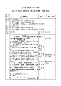 小学语文人教部编版六年级上册16 夏天里的成长教案