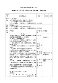 小学语文人教部编版六年级上册16 夏天里的成长教案