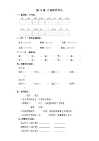 小学语文人教部编版三年级上册21 大自然的声音课时作业
