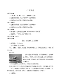 人教部编版五年级上册4* 珍珠鸟教案及反思