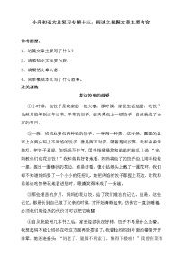 人教统编版小升初语文总复习十三·阅读之把握文章主要内容同步练习（含答案）